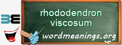 WordMeaning blackboard for rhododendron viscosum